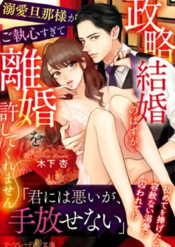 政略結婚のはずが、溺愛旦那様がご執心すぎて離婚を許してくれません