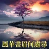 風華畫眉何處尋：走訪自然之旅