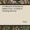 A Collection of Articles on Indoor Cacti - A Guide to Growing and Care