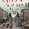 Altijd in mijn hart