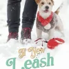 A New Leash on Love