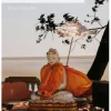 An Introduction to Engaged Buddhism