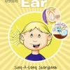 An Introduction to the Ear