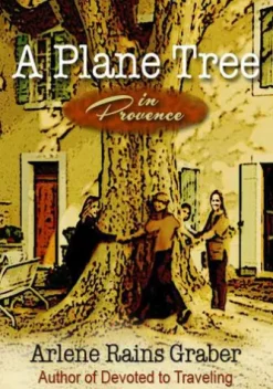 A Plane Tree in Provence