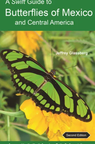 A Swift Guide to Butterflies of Mexico and Central America