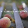 A Time of Miracles
