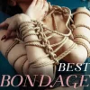Best Bondage Erotica of the Year, Volume 2