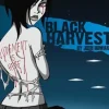 Black Harvest
