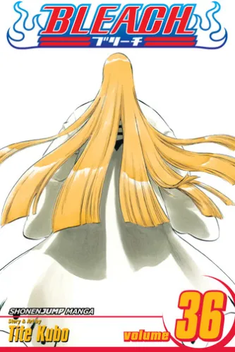 Bleach, Vol. 36