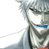 Bleach, Vol. 25
