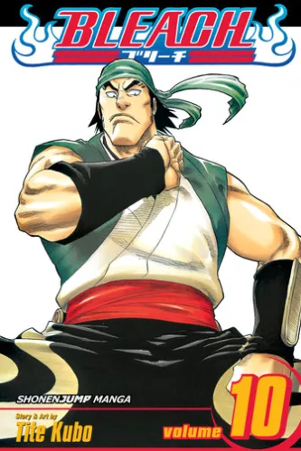Bleach, Vol. 10