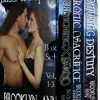 Brides of Prophecy Box Set