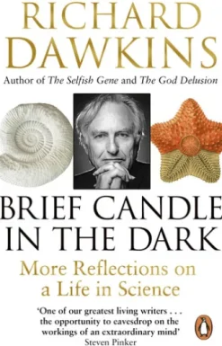 Brief Candle in the Dark