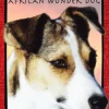 Bulu: African Wonder Dog
