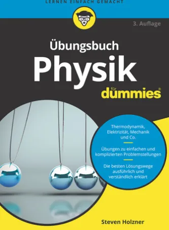 Übungsbuch Physik für Dummies