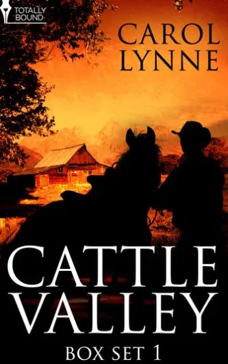 Cattle Valley Box Set 1