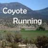 Coyote Running