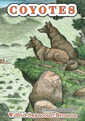 Coyotes