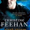 Dark Storm