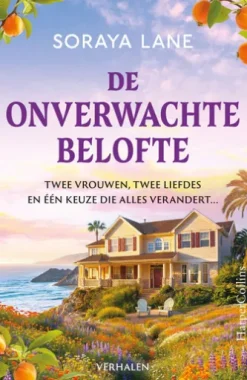 De onverwachte belofte