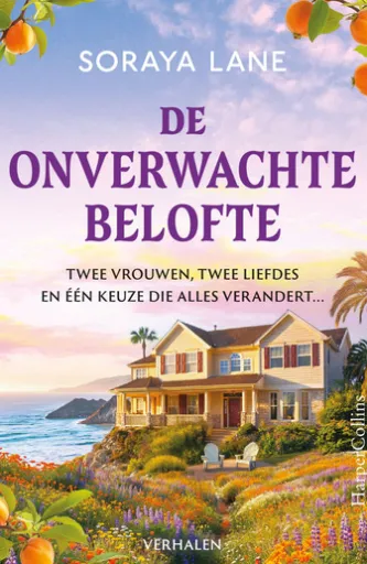 De onverwachte belofte