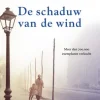 De schaduw van de wind