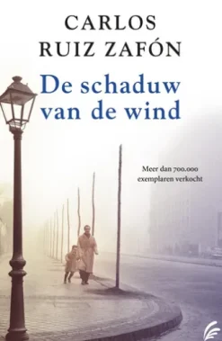 De schaduw van de wind