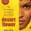 Desert Flower