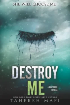 Destroy Me