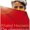 De vliegeraar