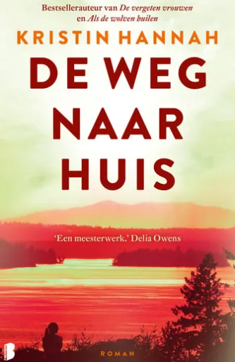 De weg naar huis