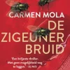 De zigeunerbruid