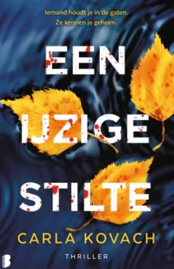 Een ijzige stilte