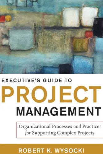 Executive's Guide to Project Management