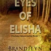 Eyes Of Elisha