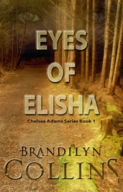 Eyes Of Elisha