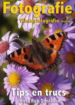 Fotografie: vlinderfotografie fototips