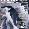 French Short Stories for Beginners - English French