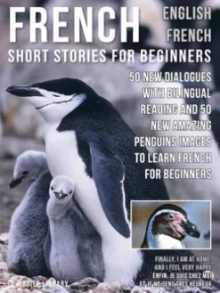French Short Stories for Beginners - English French