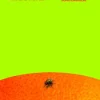 Fruit Fly