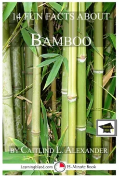 14 Fun Facts About Bamboo: Educational Version