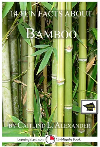 14 Fun Facts About Bamboo: Educational Version