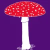 Fungipedia