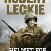 Helmet for my Pillow