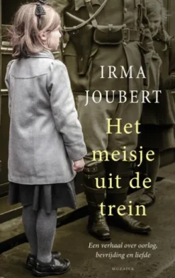Het meisje uit de trein