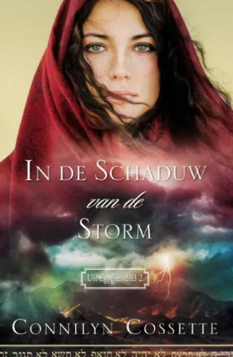 In de schaduw van de storm
