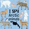 I Spy Arctic Animals