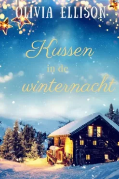 Kussen in de winternacht
