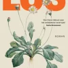 Los