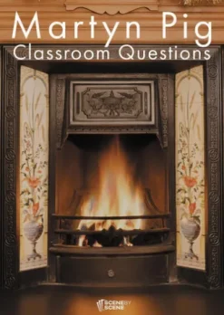 Martyn Pig Classroom Questions